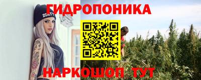 спайс Малгобек