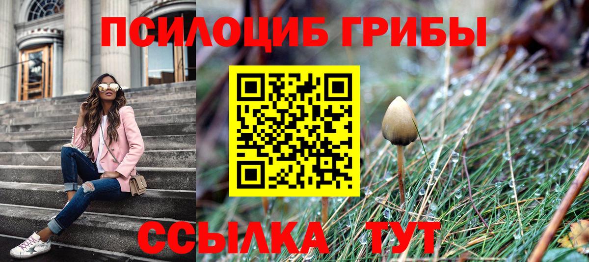 Галлюциногенные грибы Magic Shrooms  Псилоцибиновые грибы мицелий  Ялуторовск  Вход с VPN 